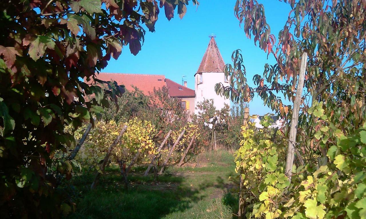 Les Gites De La Tour, Appartement "La Plaine" Saint-Hippolyte  Eksteriør bilde