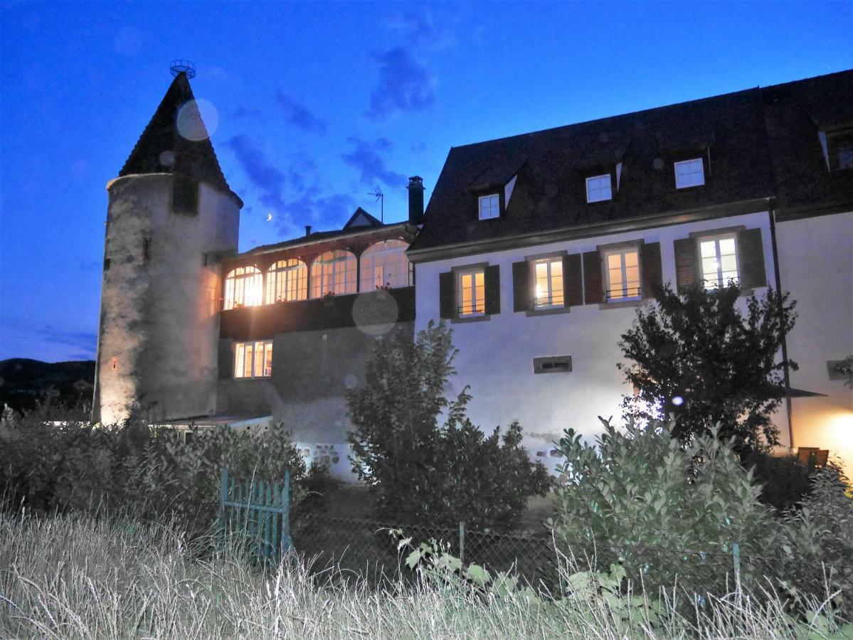 Les Gites De La Tour, Appartement "La Plaine" Saint-Hippolyte  Eksteriør bilde