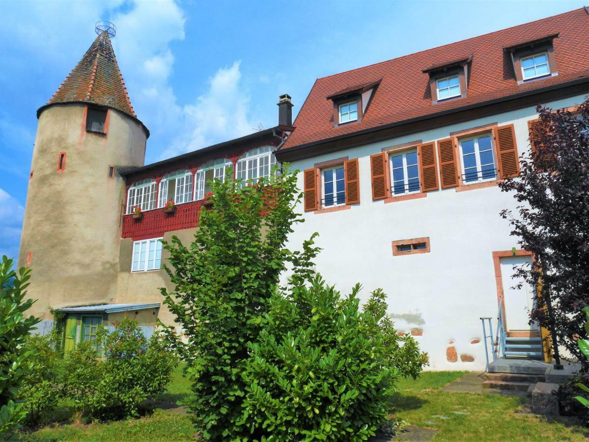 Les Gites De La Tour, Appartement "La Plaine" Saint-Hippolyte  Eksteriør bilde